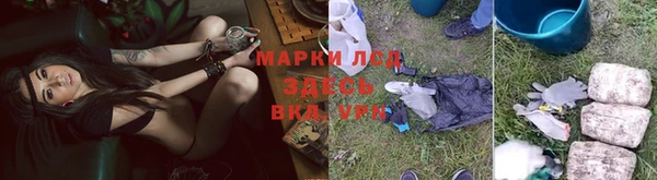 шишки Алзамай