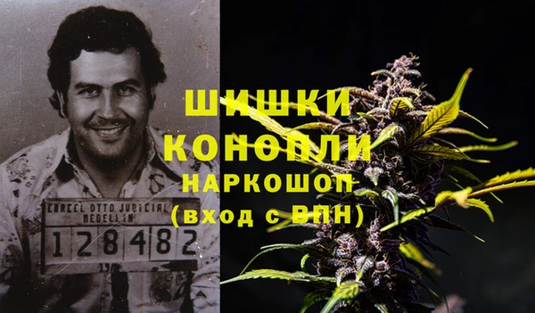 шишки Алзамай